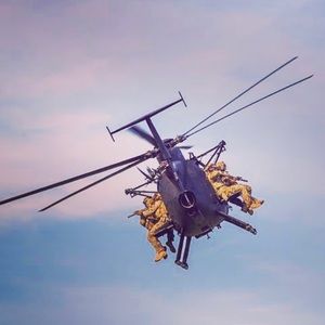 Meet your Posher, Peyton